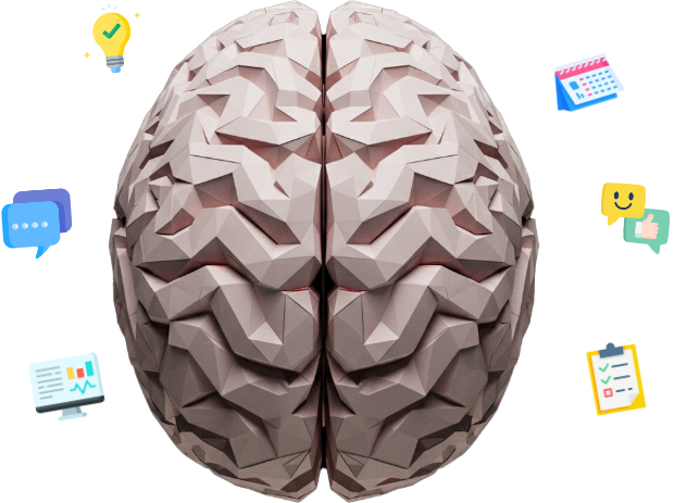Brain